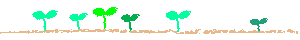 C.gif